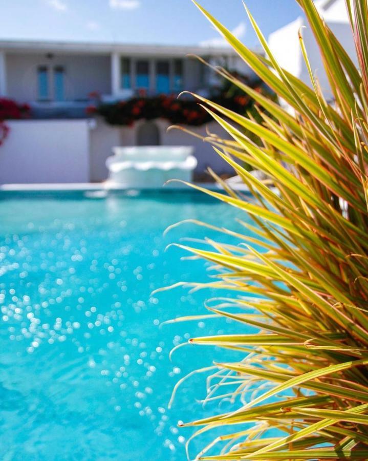 Trade Winds Hotel Dickenson Bay Dış mekan fotoğraf