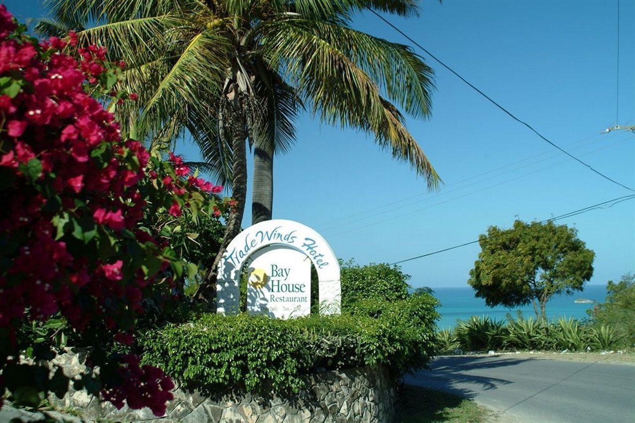 Trade Winds Hotel Dickenson Bay Dış mekan fotoğraf