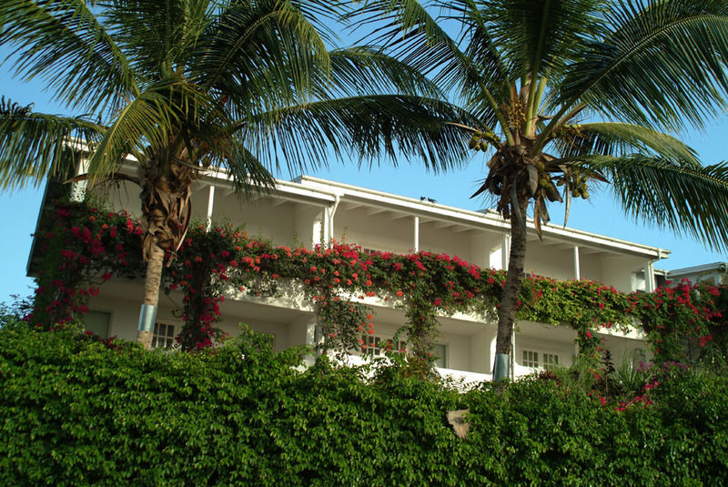 Trade Winds Hotel Dickenson Bay Dış mekan fotoğraf