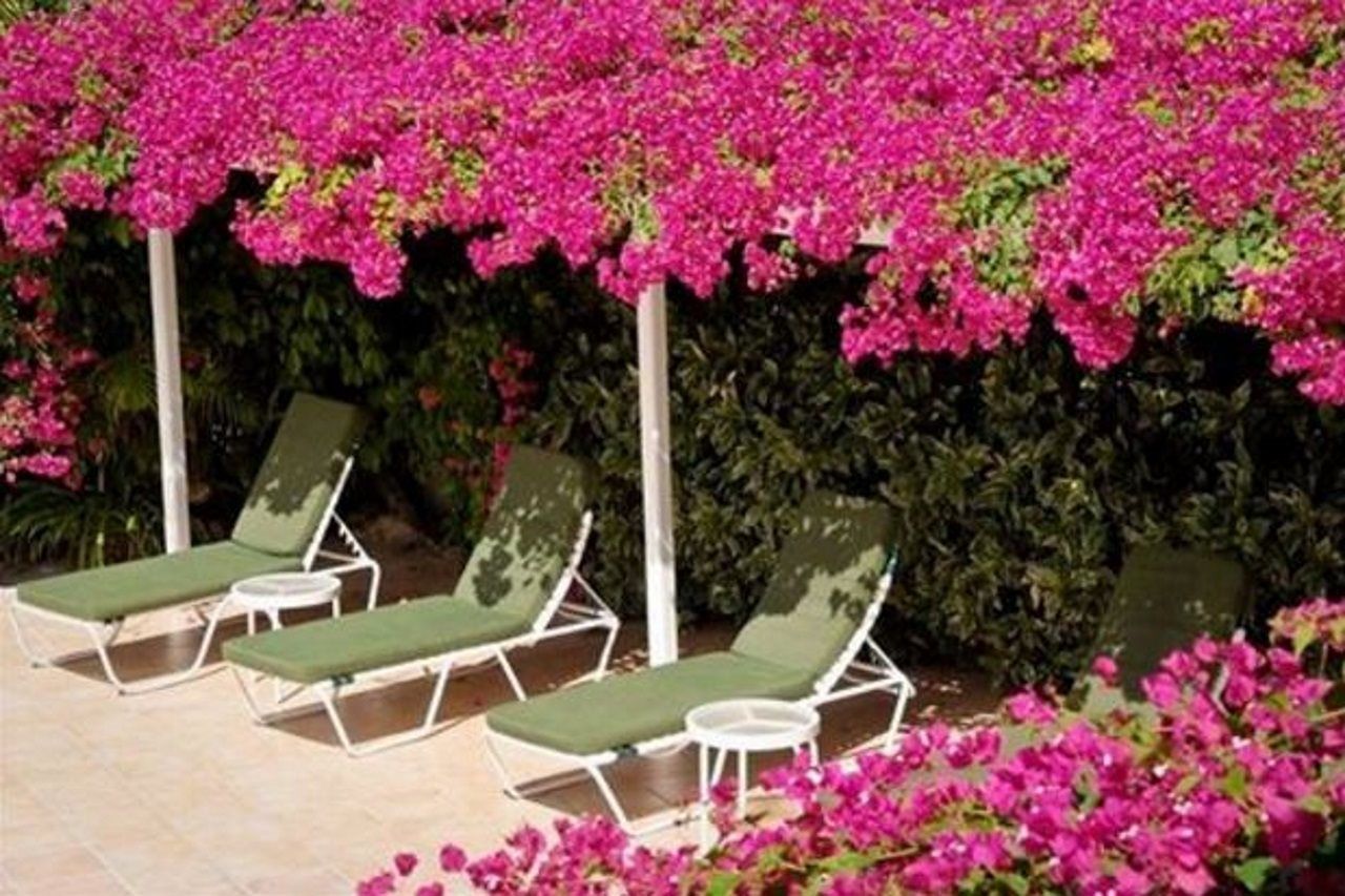 Trade Winds Hotel Dickenson Bay Dış mekan fotoğraf