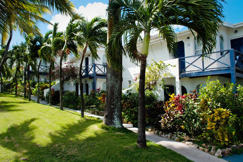 Trade Winds Hotel Dickenson Bay Dış mekan fotoğraf