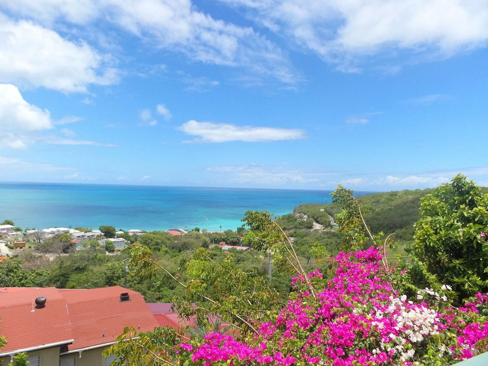 Trade Winds Hotel Dickenson Bay Dış mekan fotoğraf